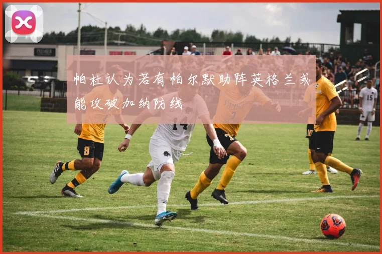 帕杜认为若有帕尔默助阵英格兰或能攻破加纳防线